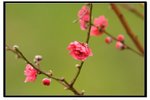 YCW_1718