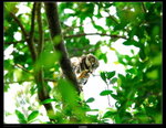 YCW_0023