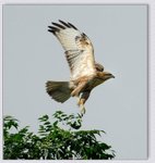 YCW_0376