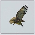 YCW_0378