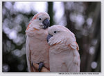 YCW_2431