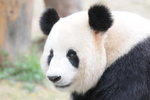 YCW_2460