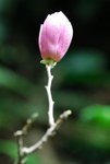Img456