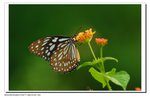 ���Y����
YCW_0164