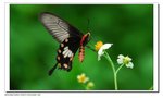 ���]��
YCW_0197