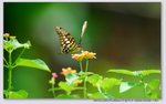 
�C��
YCW_0208
