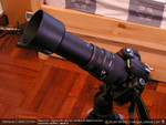 wo-p6200203