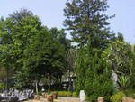 Test - Original