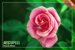 Slide0032
