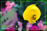 Slide0035