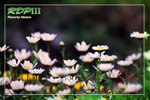 Slide0037