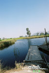 film003