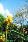 IMG_0192