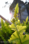R0010044