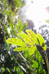 R0010181