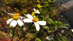 R0012520