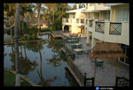 palmbeach-1