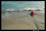 yalongbay-1