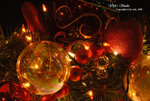 DSC_0009_R_christmas_word