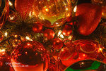 DSC_0010_R_christmas_word