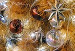 DSC_0208_R_christmas2007