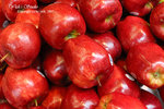 DSC_0016_fruit_word