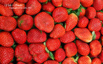DSC_0025_fruit_word
