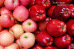 DSC_0028_fruit_word