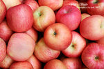 DSC_0029_fruit_word