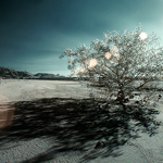 CRW_1593s