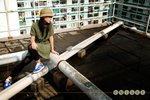 chinee_004