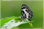 �Ҧǽ�