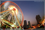 fish_0009