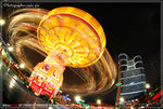 fish_0012