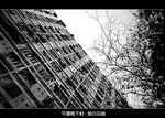 C_001