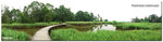 Panorama_3