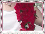 R1.thumb.gif