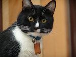 DSC08844