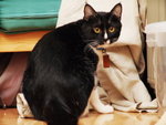 DSC08871