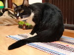 DSC08880