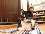 DSC08895