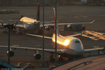 IMG_3944a