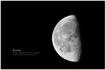 the Queen of night - 2009 Jan