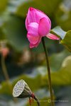 IMG_8000