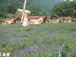 DSCF2196