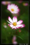 IMG_2484ad