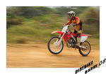 DSC_1636 copy