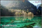 Jiuzhaigou01 (065)