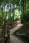 IMG_4916i