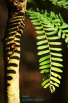 IMG_4938e